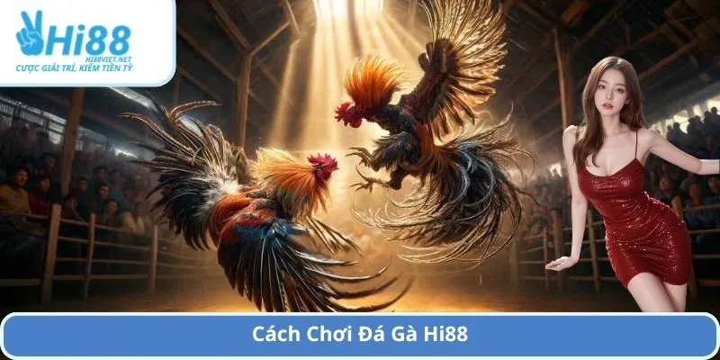 Cách Chơi Đá Gà Hi88