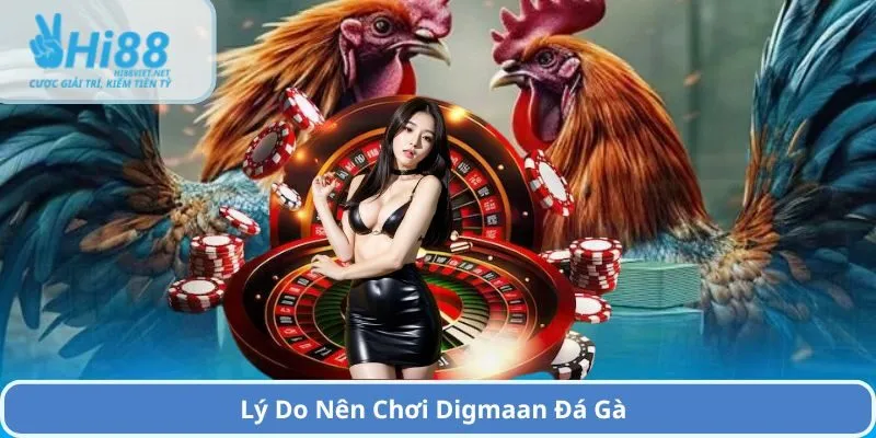 Lý Do Nên Chơi Digmaan Đá Gà