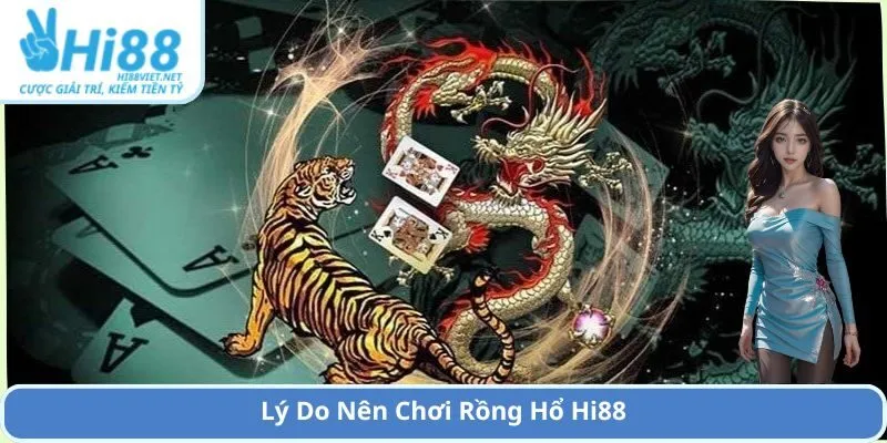 Lý Do Nên Chơi Rồng Hổ Hi88