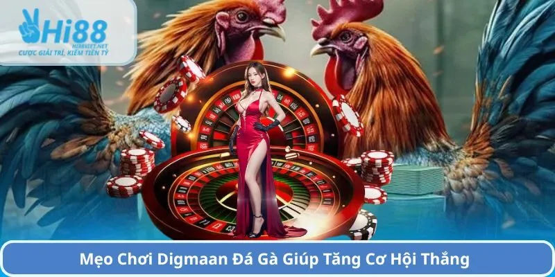 Mẹo Chơi Digmaan Đá Gà Giúp Tăng Cơ Hội Thắng