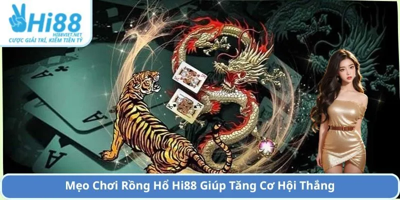 Mẹo Chơi Rồng Hổ Hi88 Giúp Tăng Cơ Hội Thắng