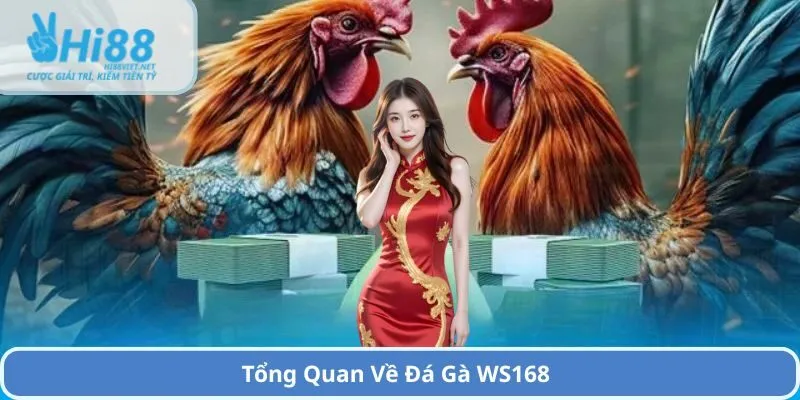 Tổng Quan Về Đá Gà WS168
