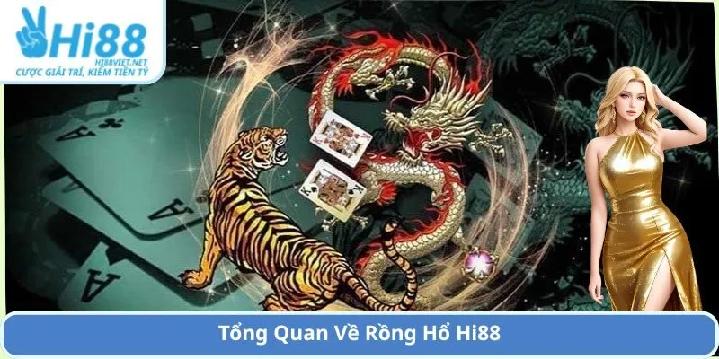 Tổng Quan Về Rồng Hổ Hi88